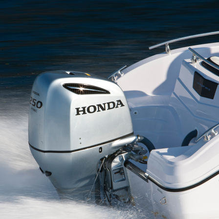 Gros plan du moteur BF250, sur le littoral.